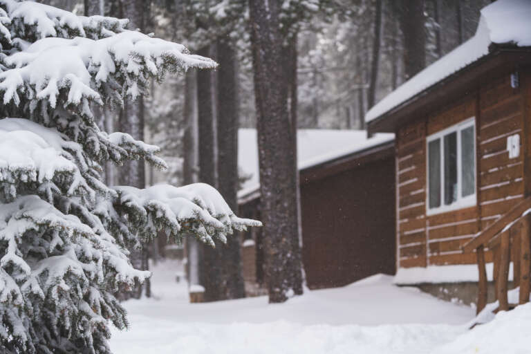 The Resort At Cypress Hills » Cabins